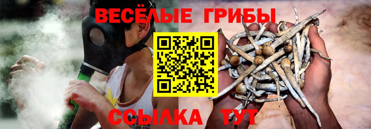 Барабинск  Псилоцибиновые грибы прущие грибы  Галлюциногенные грибы мухоморы  Вход с VPN 