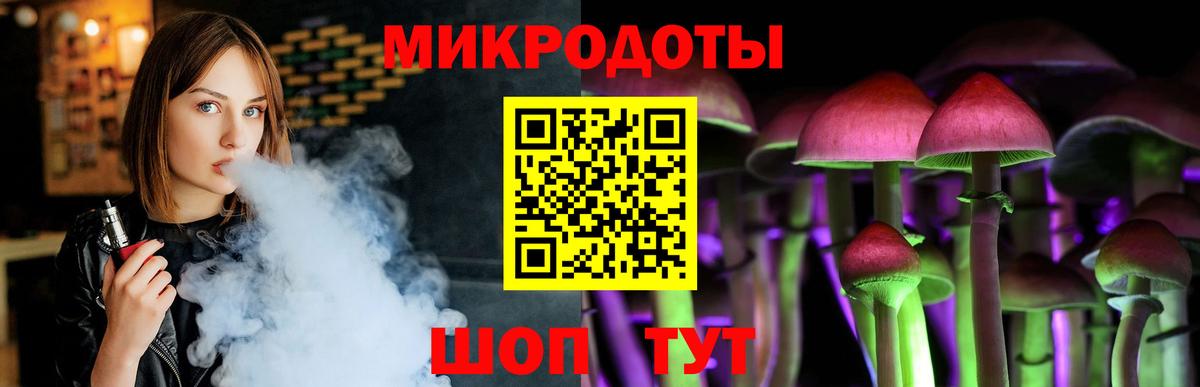 Галлюциногенные грибы Psilocybine cubensis Барабинск